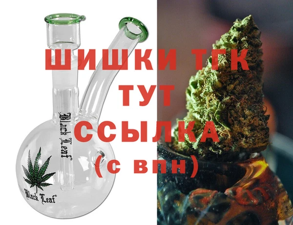 амф Дмитриев