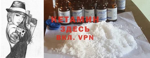 амф Дмитриев