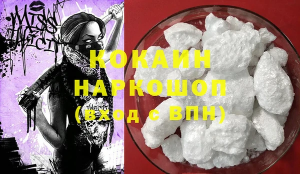 амф Дмитриев