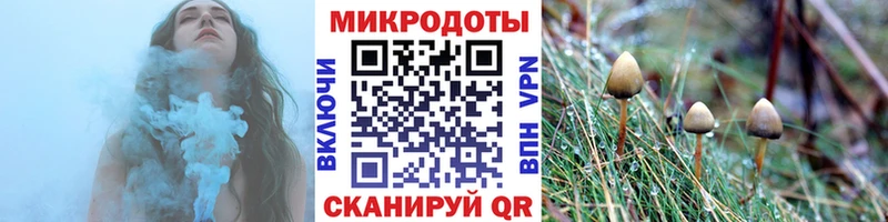 hydra зеркало  Рузаевка  Псилоцибиновые грибы ЛСД 