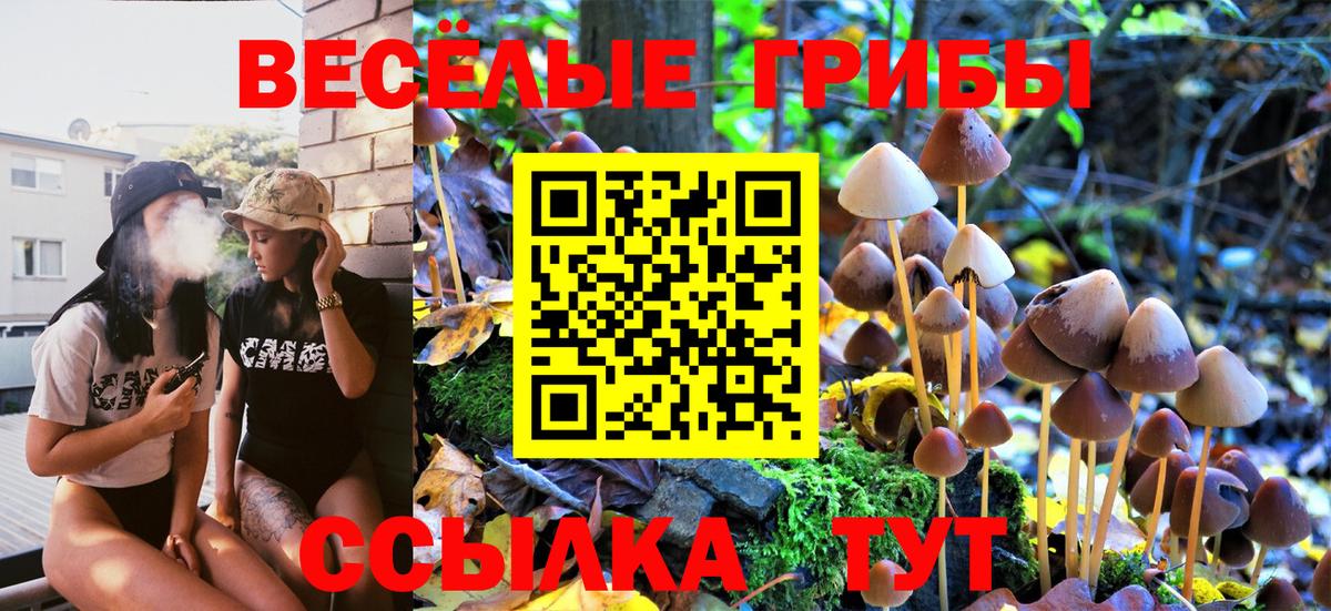Галлюциногенные грибы ЛСД  Вход с VPN  Рузаевка 