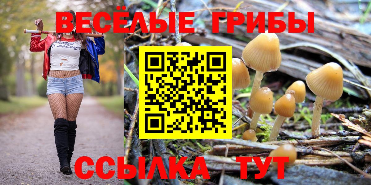 Галлюциногенные грибы мухоморы Рузаевка