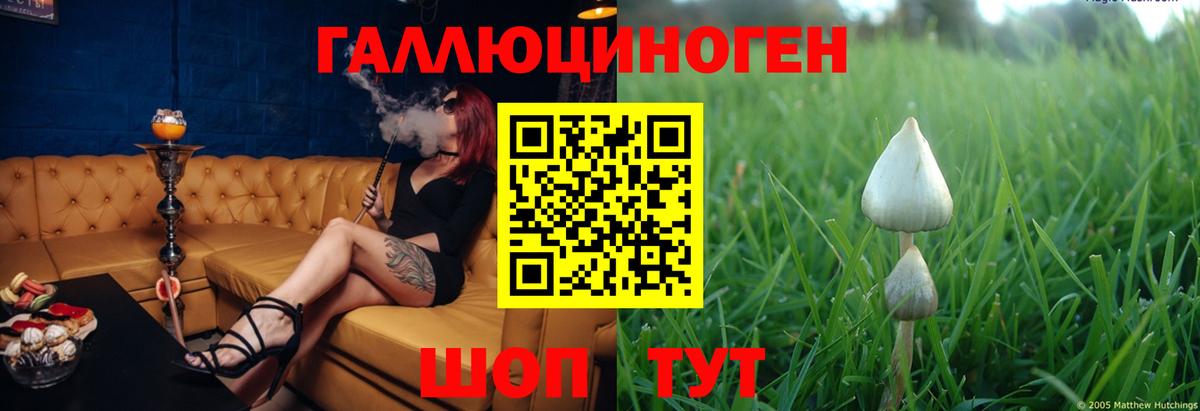 Галлюциногенные грибы GOLDEN TEACHER  Рузаевка  Галлюциногенные грибы Psilocybe 